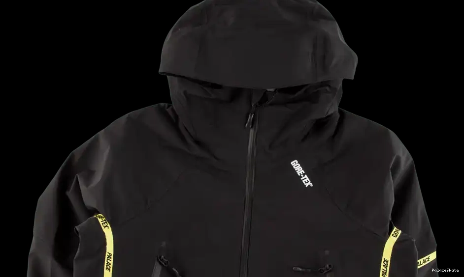 Cheap Palace Gore-Tex Jacket Palex 0529